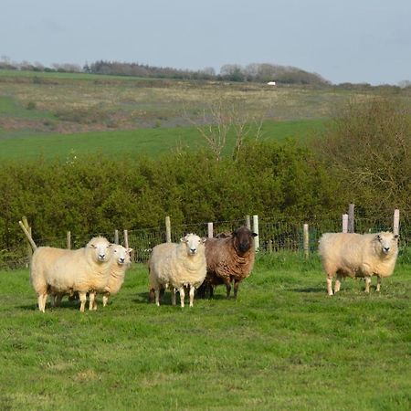 Top Parts Bed & Breakfast Abbotsbury Exterior foto